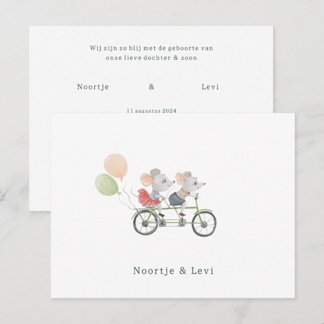 Tweeling Baby Geboortekaartje Schattige Muisjes Vykort (Fram/baksida)
