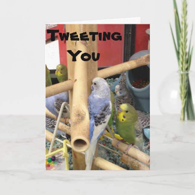 "TWEET" FÖR ATT SÄGA HA EN GLAD PÅSK HELGKORT (Framsida)