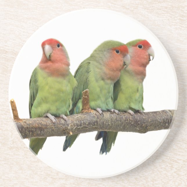 Tweet Trio Coaster Underlägg Sandsten (Framsidan)