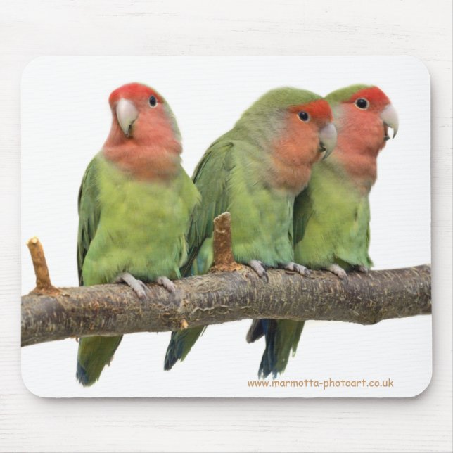 Tweet Trio Mousemat Musmatta (Framsidan)