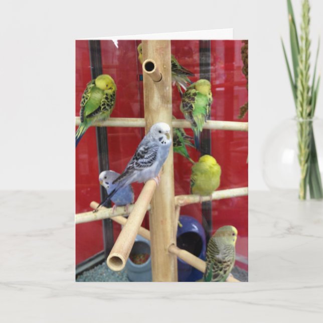 "TWEETING" GLAD PÅSK TILL "DIG" HELGKORT (Framsida)