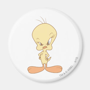 Tweety Arg Magnet
