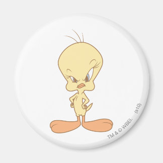 Tweety Arg Magnet