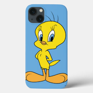 TWEETY™ | Clever Bird