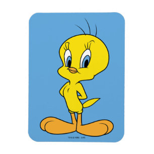 TWEETY™ Clever Bird Magnet