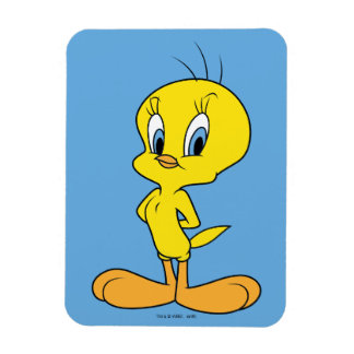 TWEETY™| Clever Bird Magnet