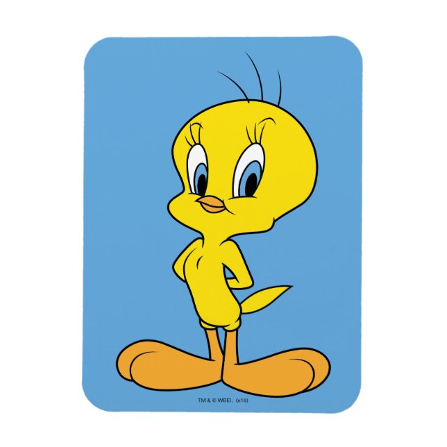 TWEETY™| Clever Bird Magnet (Vertikal)