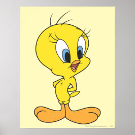 Tweety Haha Poster