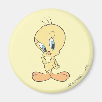TWEETY™ i molnet Pose 22 Magnet