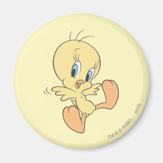 Tweety in the Clouds Pose 13 Magnet