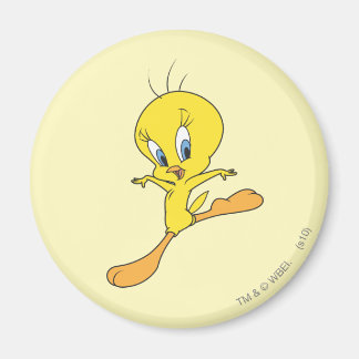 TWEETY™ Landning Magnet