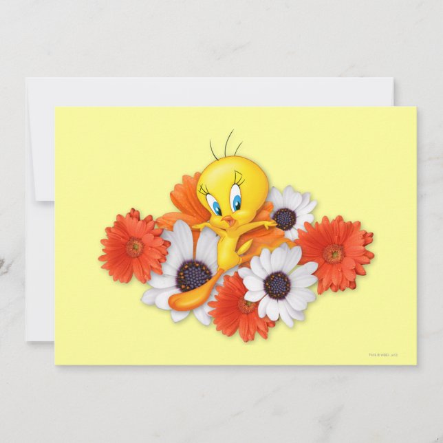 TWEETY™ med Daisy (Framsida)