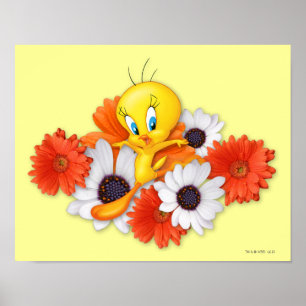 Tweety med prästkragar poster