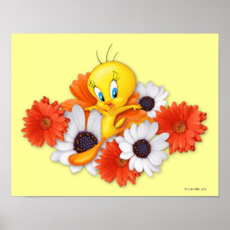 Tweety med prästkragar poster