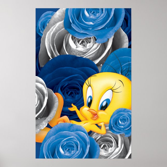 TWEETY™ med Ro Poster (Framsidan)