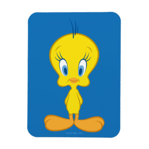 TWEETY™ Onocent Little Bird Magnet