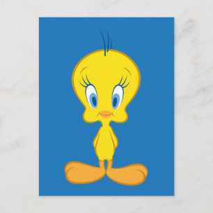 TWEETY™ Onocent Little Bird Vykort
