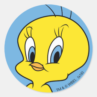 TWEETY™ | Smart Fågel Runt Klistermärke