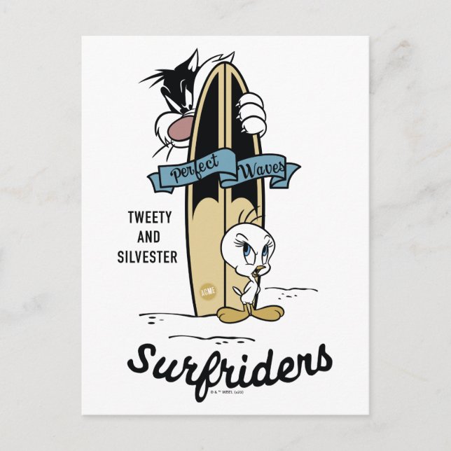 TWEETY™ & SYLVESTER™ Surfriders Vykort (Framsida)