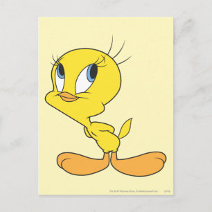 TWEETY™ VYKORT
