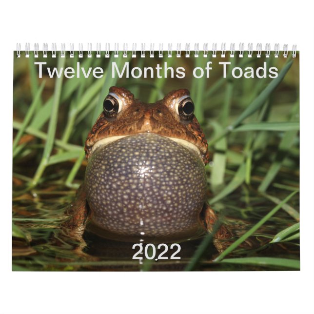 Twelve Months of Toads: 2022 Calendar Kalender (Omslag)