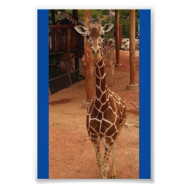 Twiggy 4X6 Skriv ut #2 Fototryck (Framsidan)