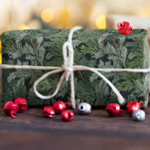 Twigs av frostiserad Grönt