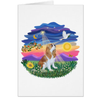 Twilight - Blenheim Cavalier (F) Hälsningskort