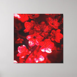 Twilight Cherry Blommar Glow Canvastryck