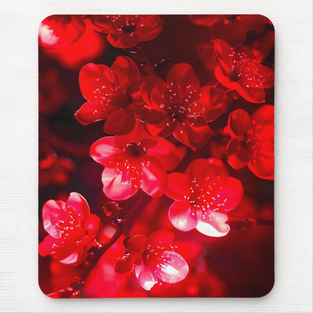 Twilight Cherry Blommar Glow Musmatta (Framsidan)
