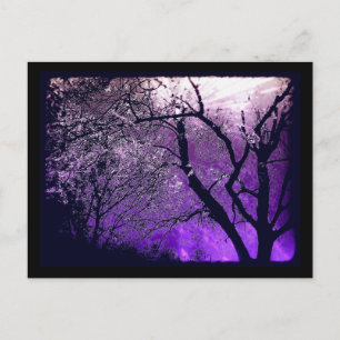 Twilight dimma vykort
