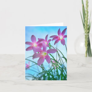 Twilight Fairy Lilies Note Card Kort