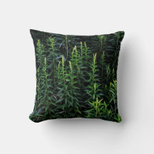 Twilight Plants Mörk Mood