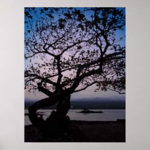 TWILIGHT-programmet HILO BAY HAWAII Poster