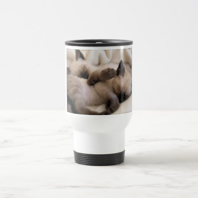 Twillingar daltar den gulliga Siamese kattungen Resemugg (Center)