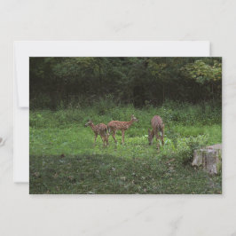 Twillingar och deras mammor inbjudningar