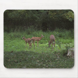 Twillingar och deras mammor musmatta