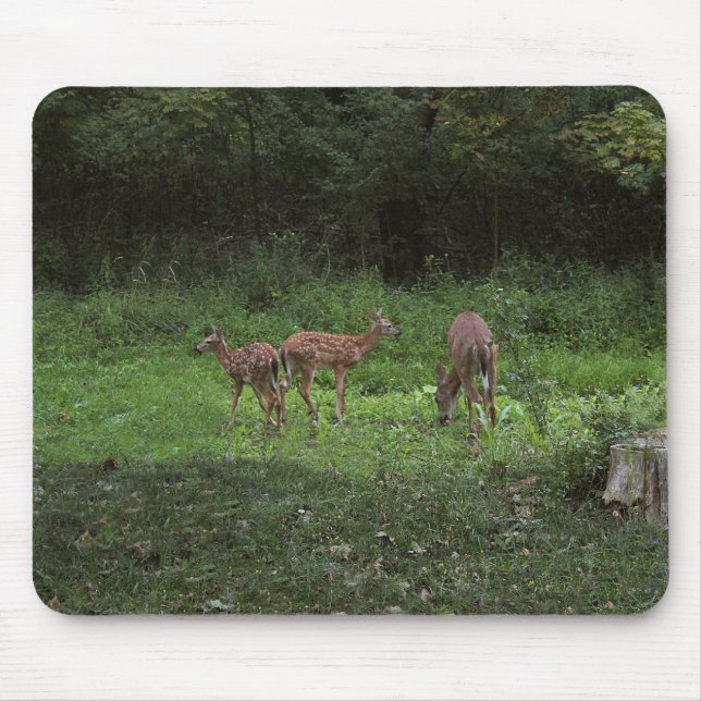 Twillingar och deras mammor musmatta (Framsidan)