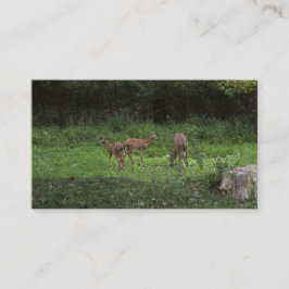 Twillingar och deras mammor visitkort