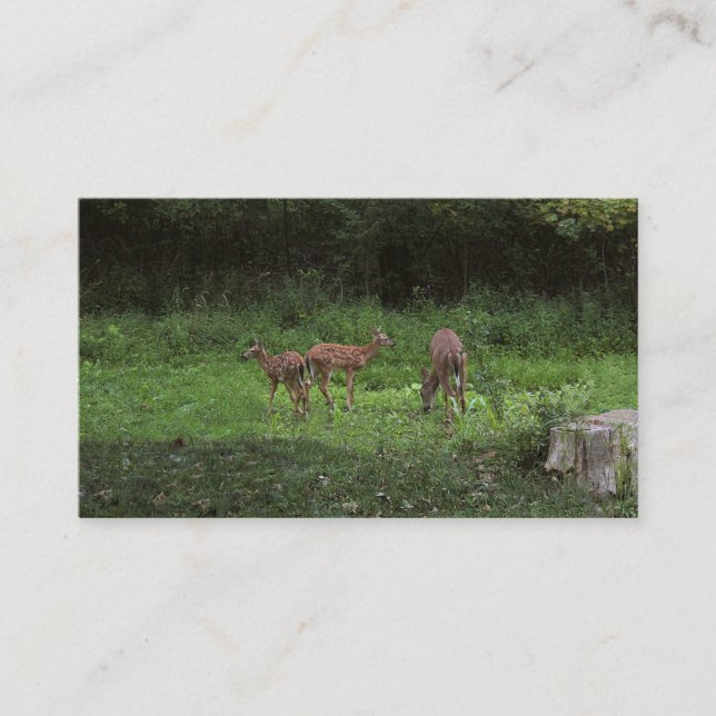 Twillingar och deras mammor visitkort (Framsida)