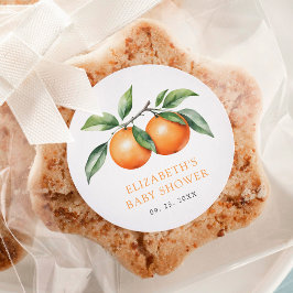 Twillingar Orange Baby Shower Runt Klistermärke