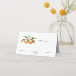 Twillingar Orange Babykläder Bord Monteringskort Placeringskort