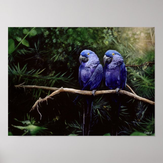 Twillingar Poster (Framsidan)