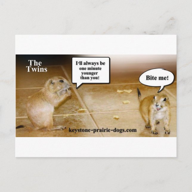 Twillingar Vykort (Framsida)