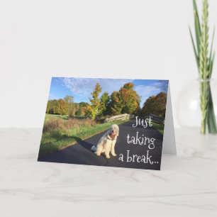 **TWIN** ATT TA ETT BROTT FÖR ATT SÄGA "GRATTIS PÅ KORT