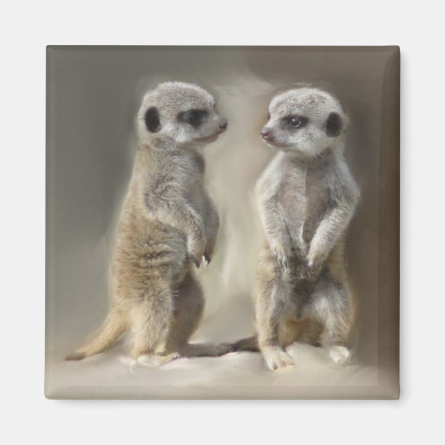 Twin baby Meerkats Magnet (Framsidan)