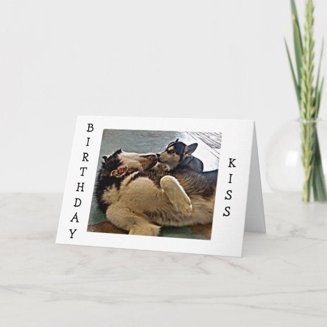 TWIN BIRTHDAY KISSES = VALP FOTOGRAFI KORT (Framsida)