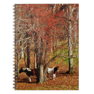 Twin Brown and White Horses Anteckningsbok