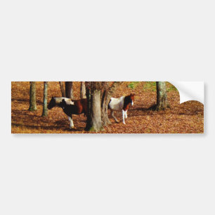 Twin Brown and White Horses Bildekal