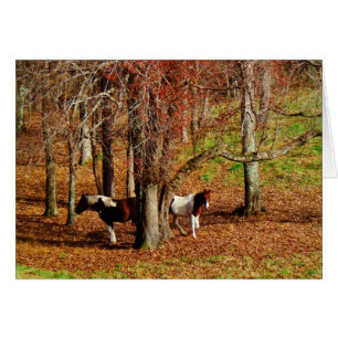 Twin Brown and White Horses Hälsningskort